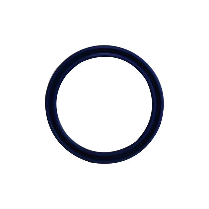 Sealing Ring